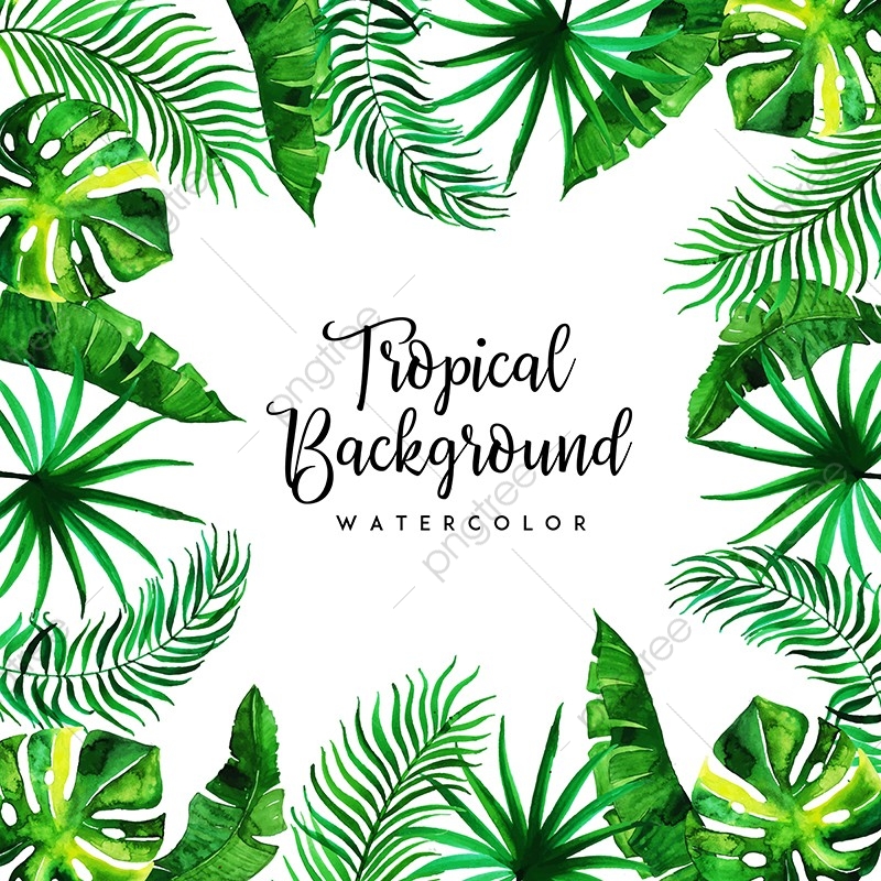 Tropical Watercolor Background