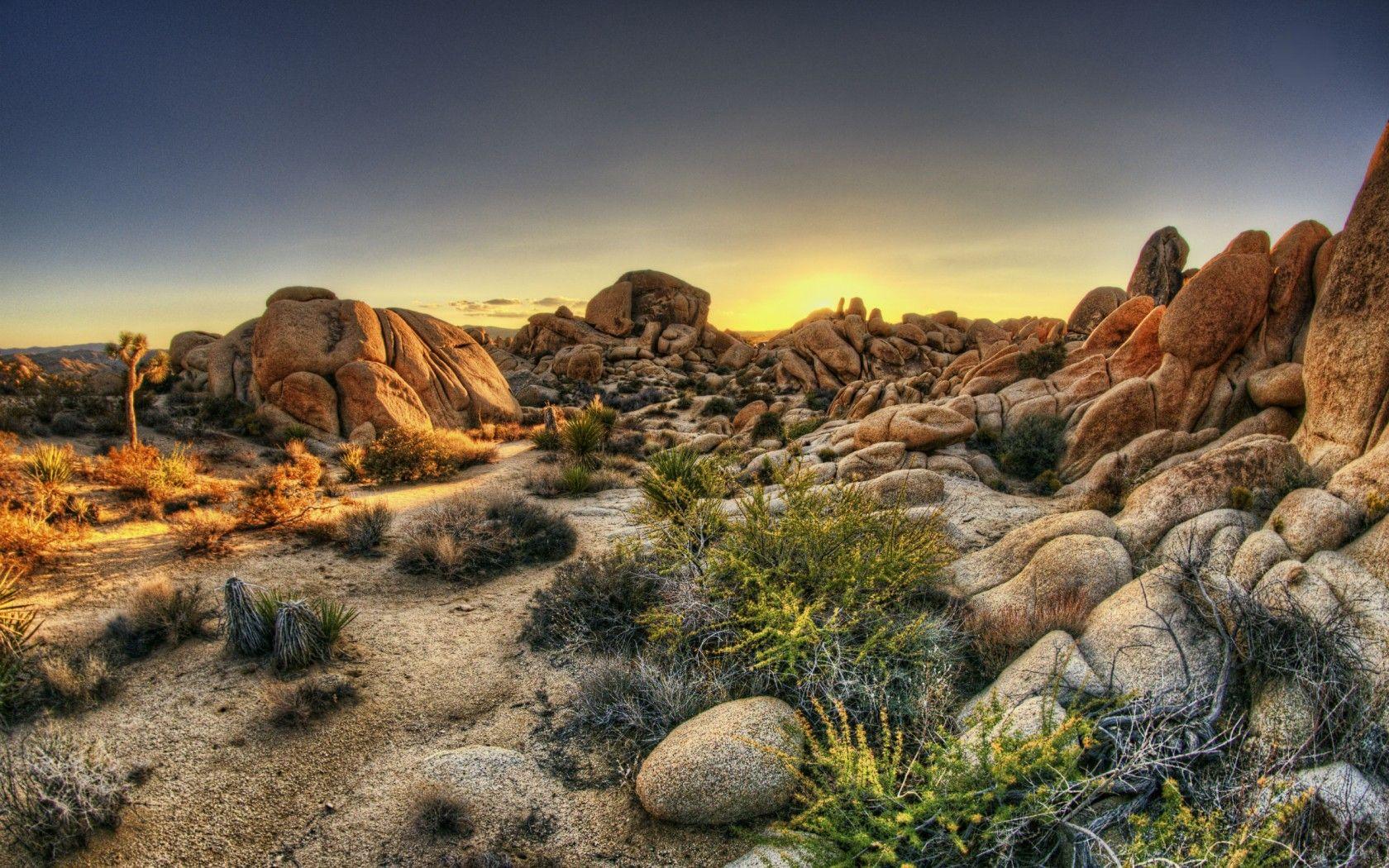 Joshua Tree National Park Wallpapers