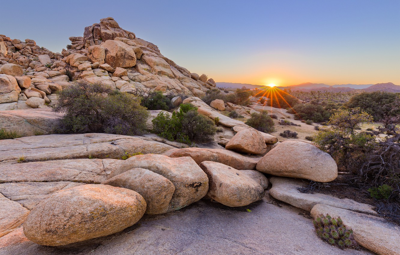 Joshua Tree National Park Wallpapers