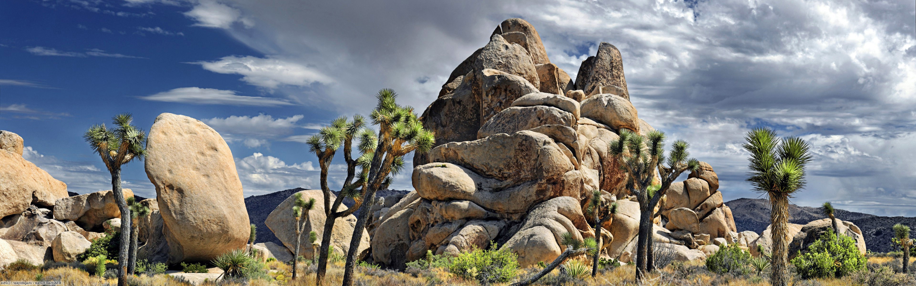 Joshua Tree National Park Wallpapers