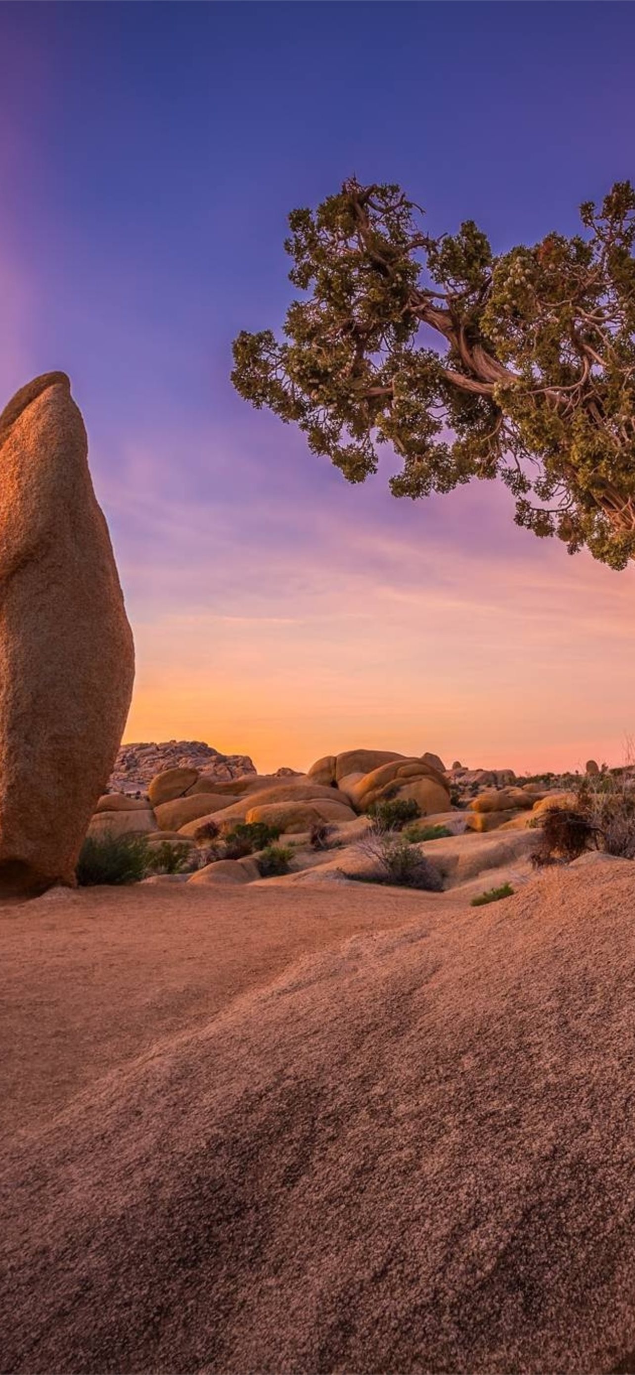 Joshua Tree National Park Wallpapers