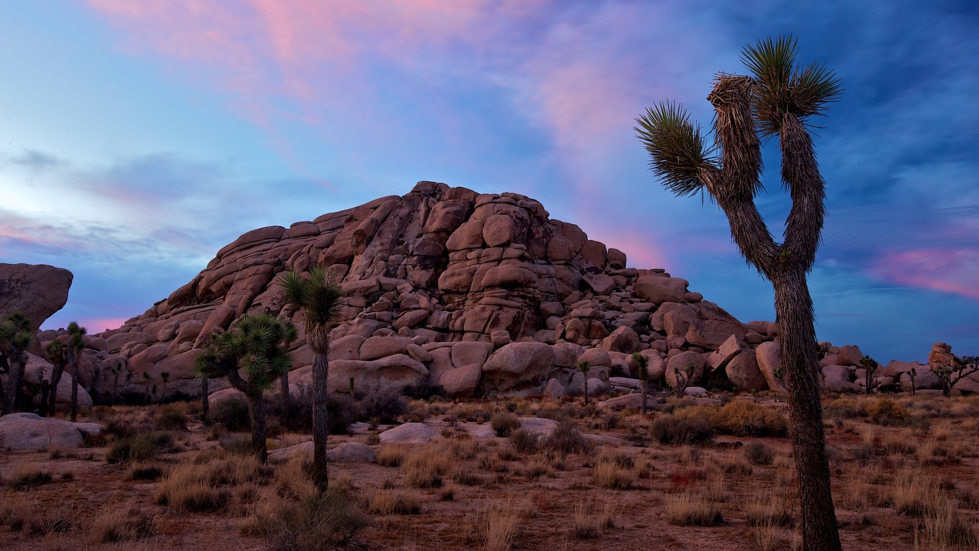 Joshua Tree National Park Wallpapers