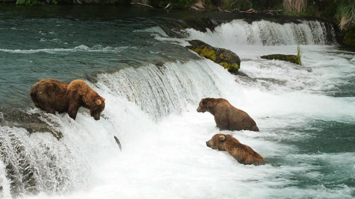 Katmai National Park And Preserve Wallpapers