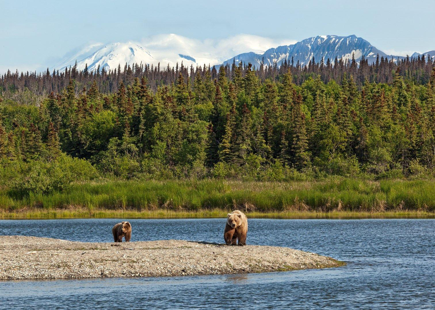 Katmai National Park And Preserve Wallpapers