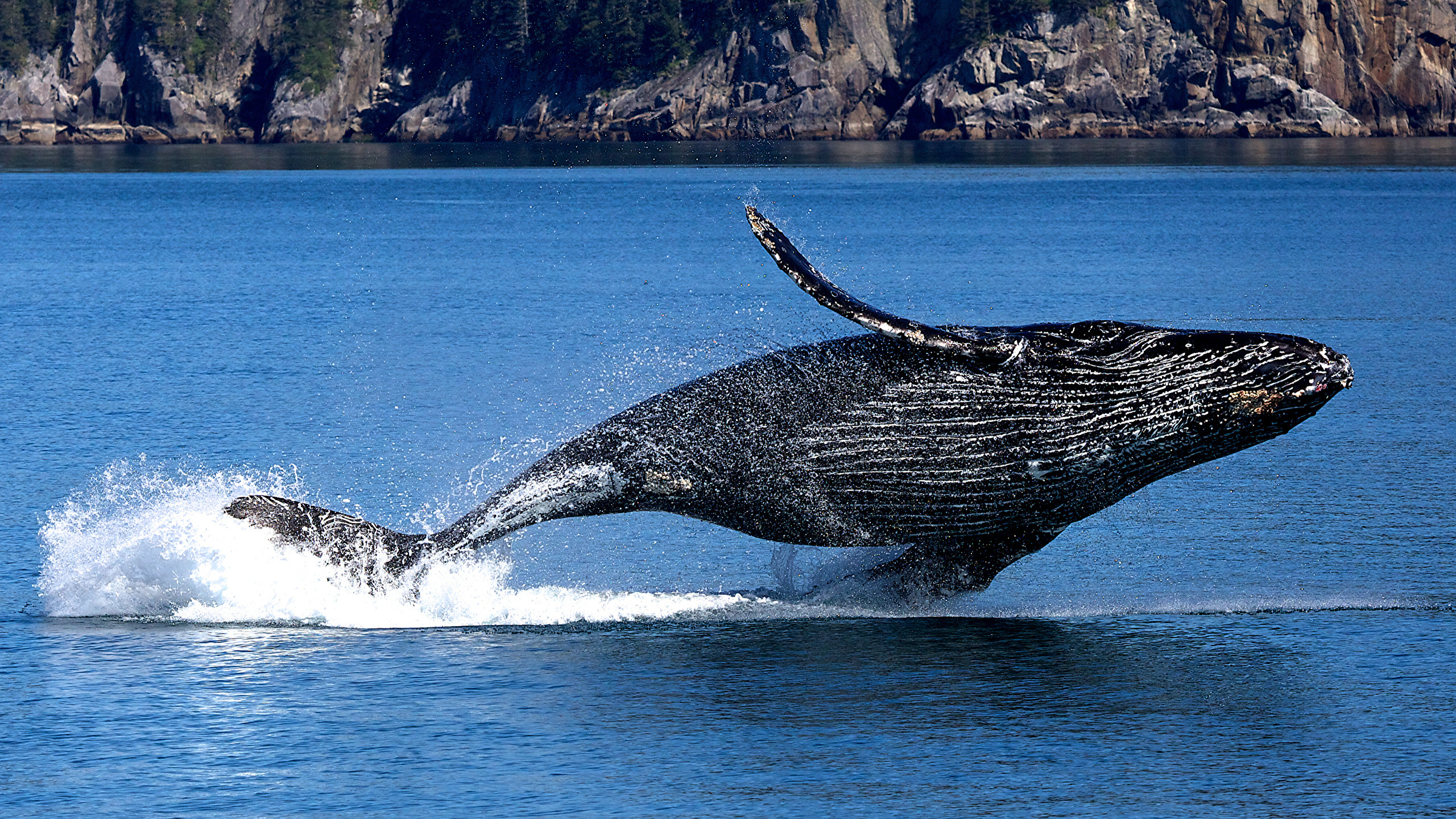 Kenai Fjords National Park Wallpapers