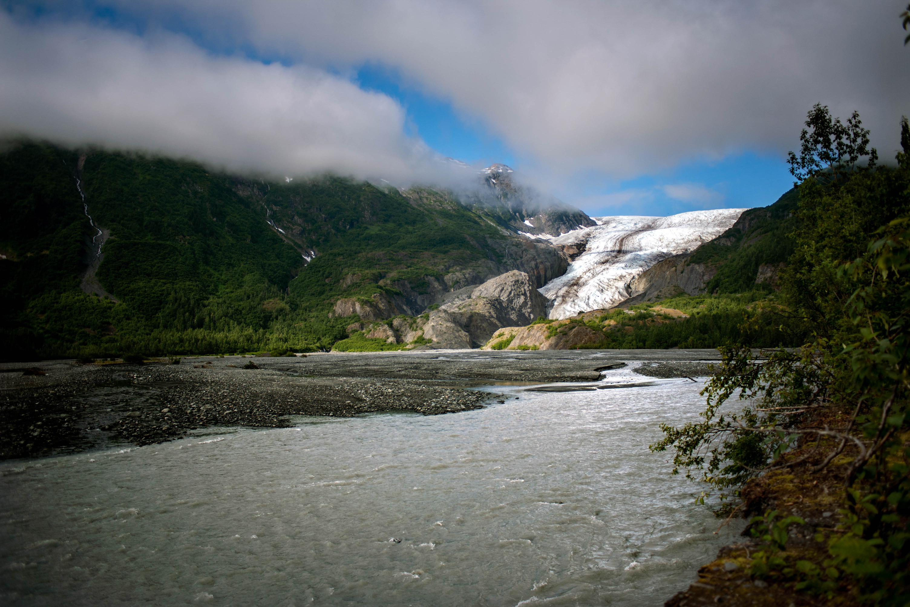 Kenai Fjords National Park Wallpapers