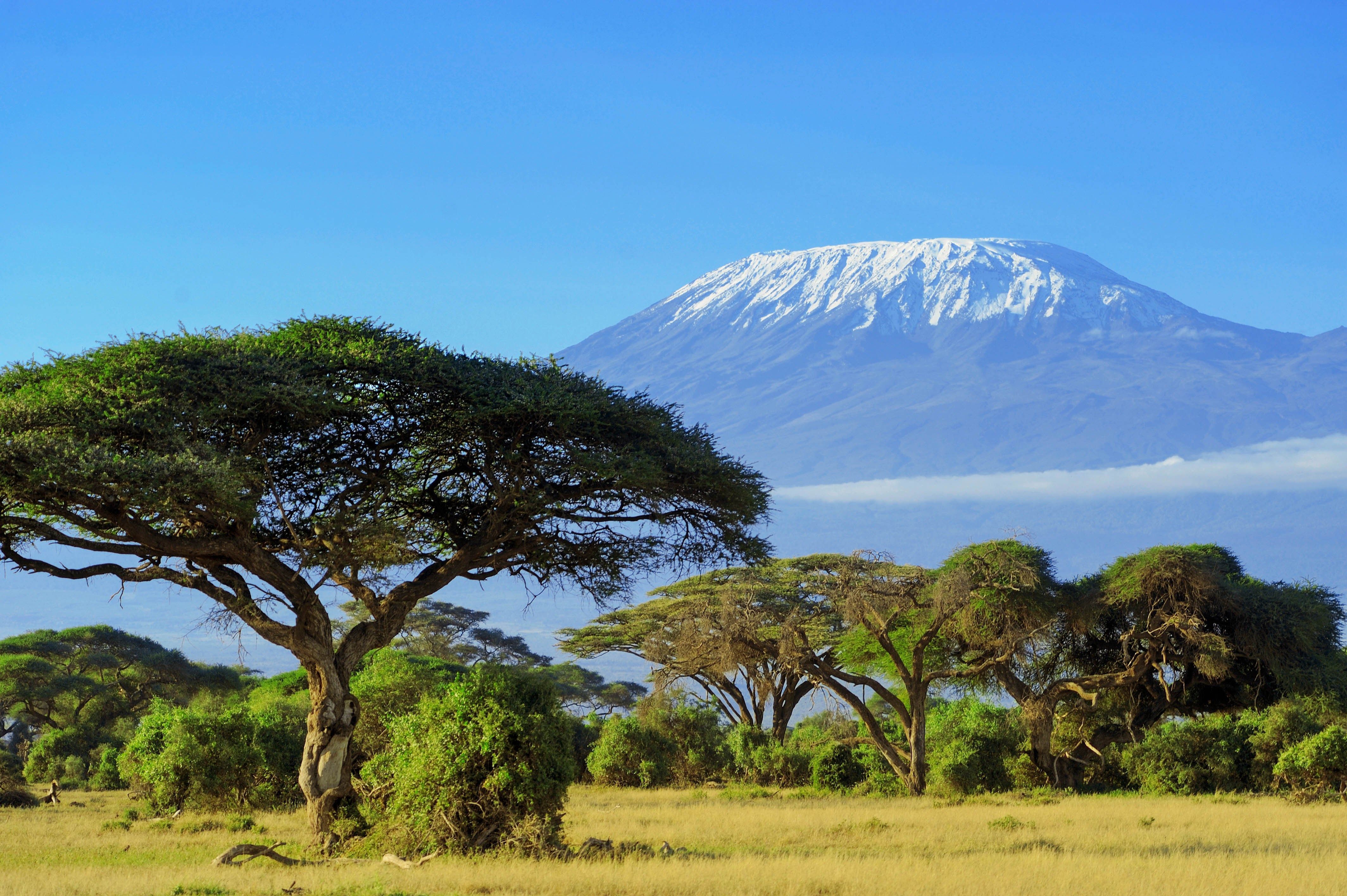 Kilimanjaro Wallpapers