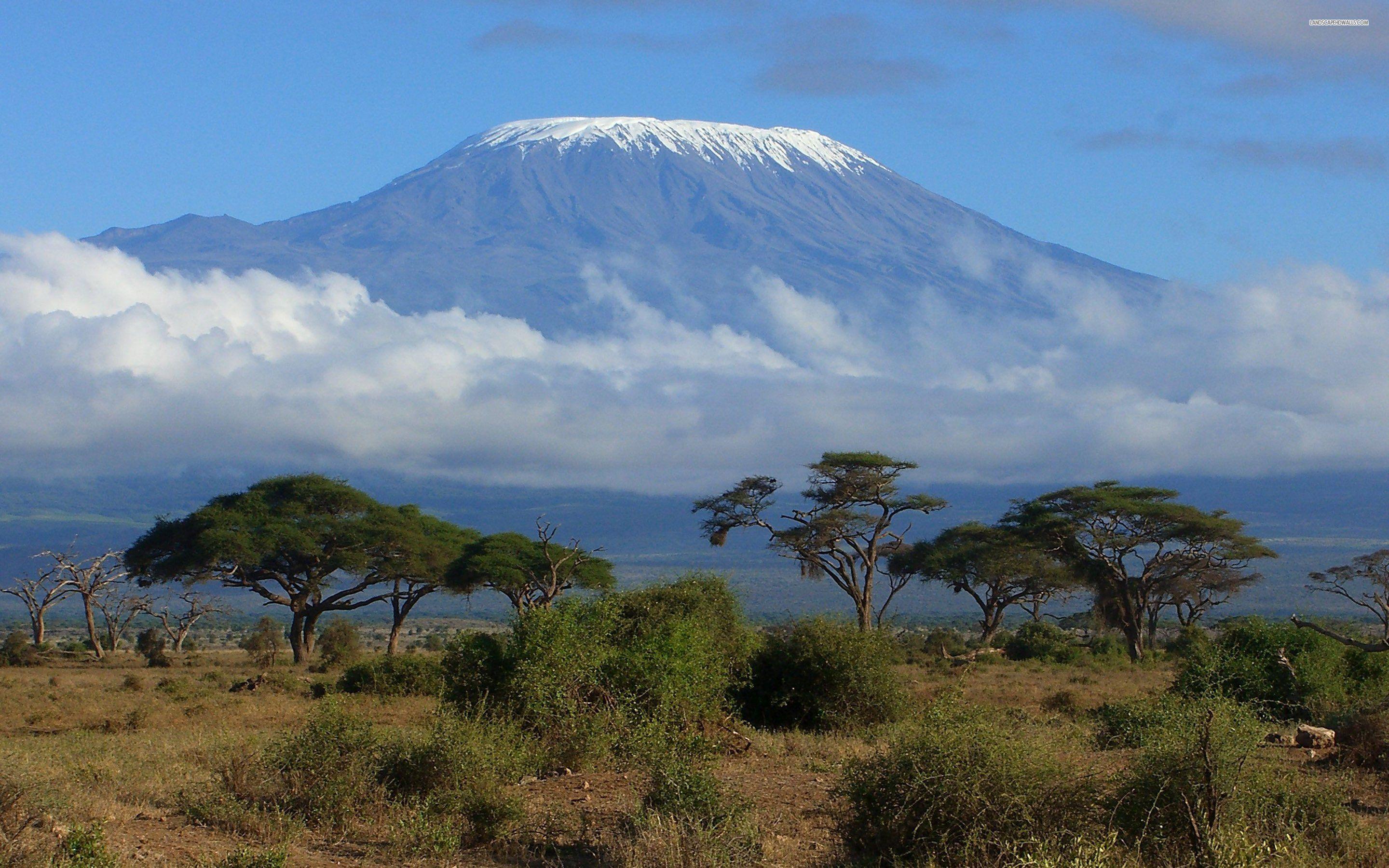 Kilimanjaro Wallpapers