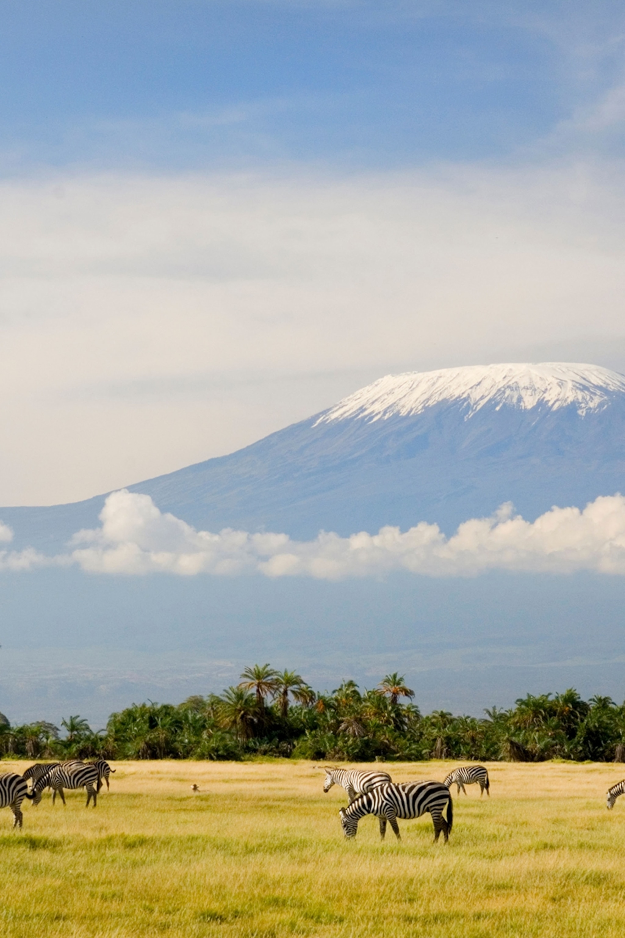 Kilimanjaro Wallpapers