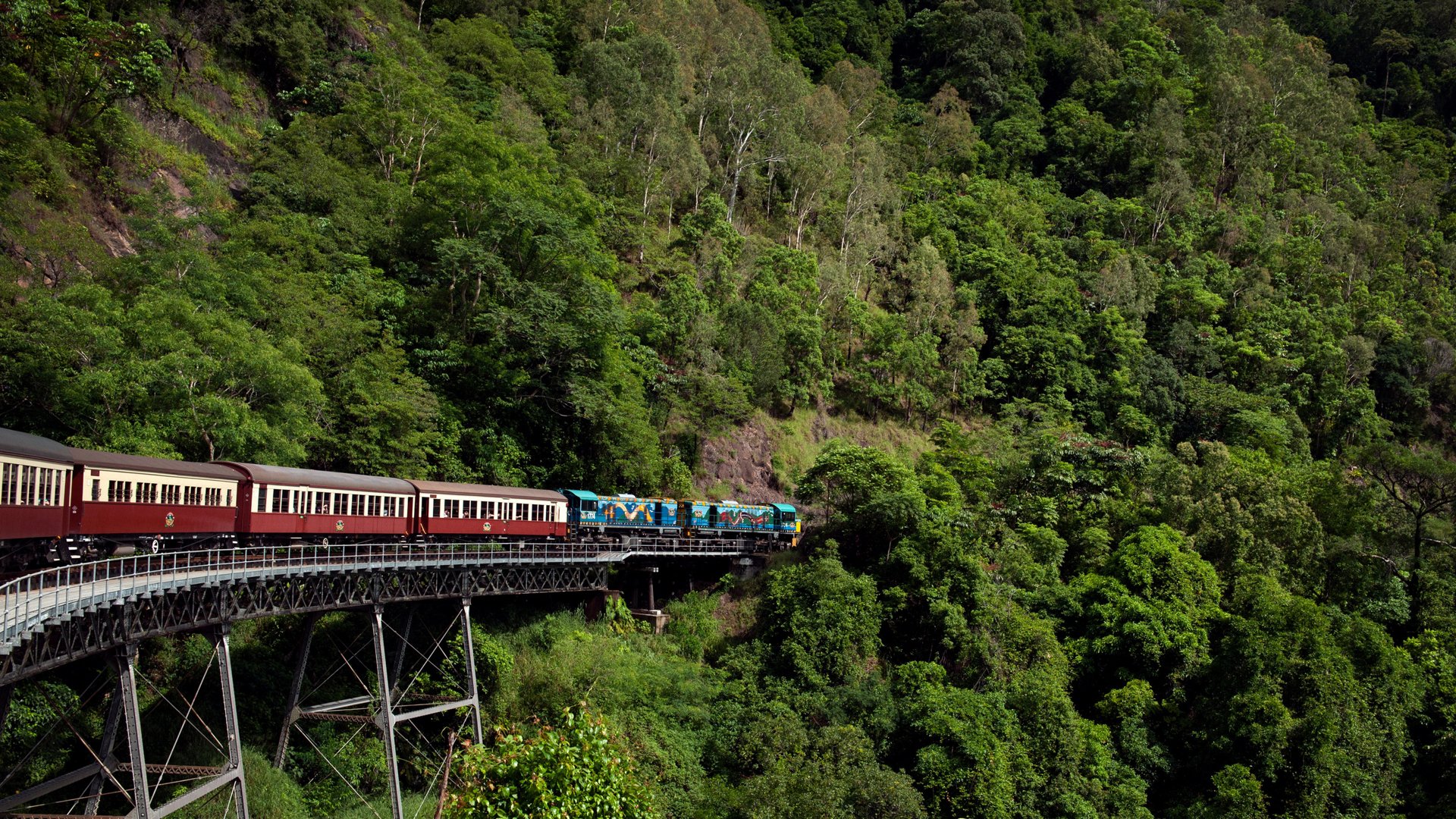 Kuranda Rianforest Wallpapers