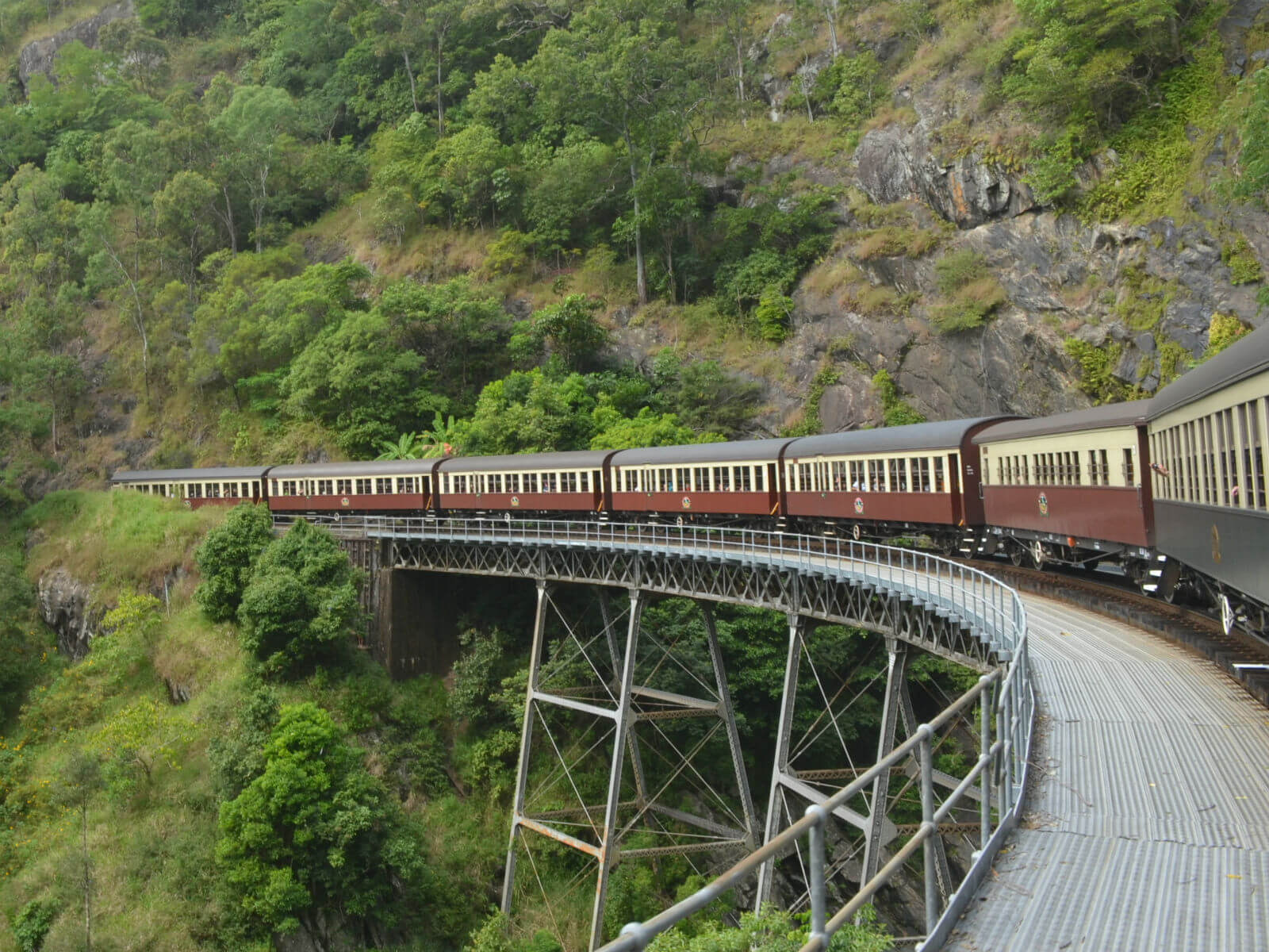 Kuranda Rianforest Wallpapers