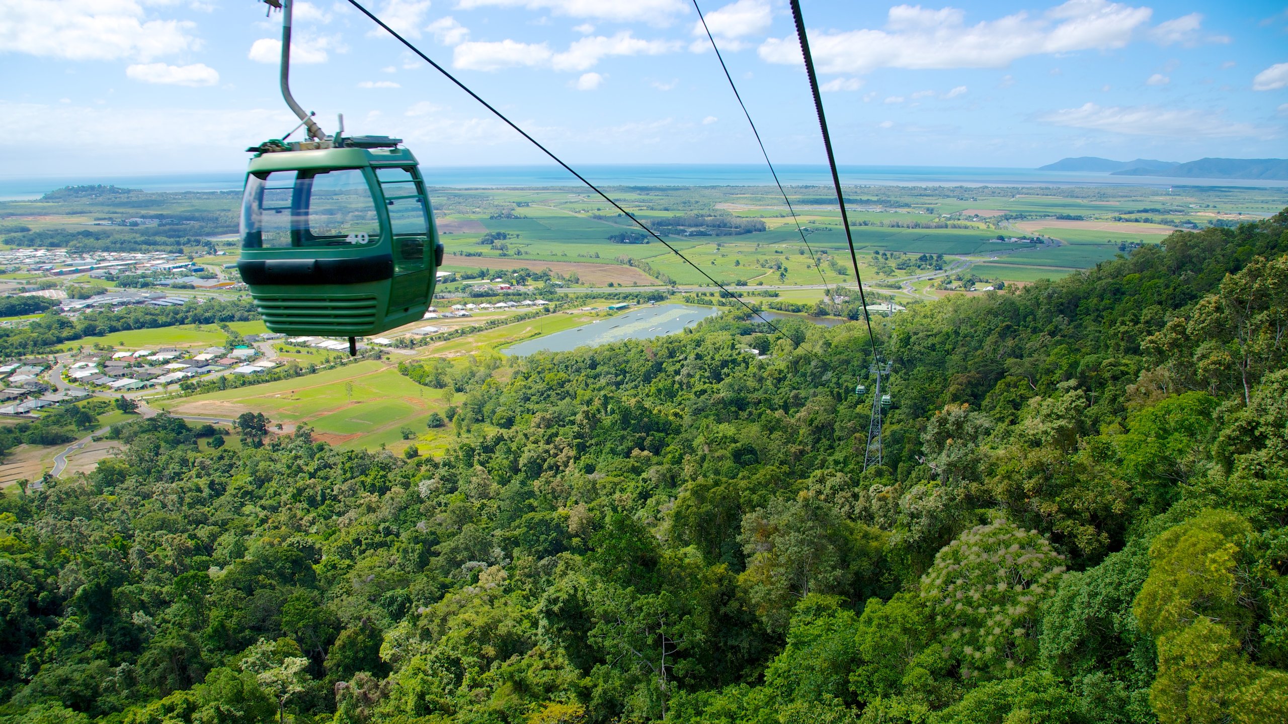 Kuranda Rianforest Wallpapers