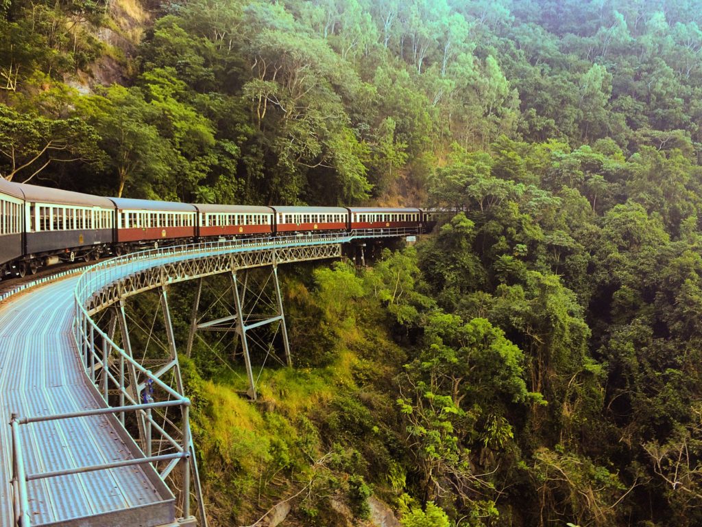 Kuranda Rianforest Wallpapers