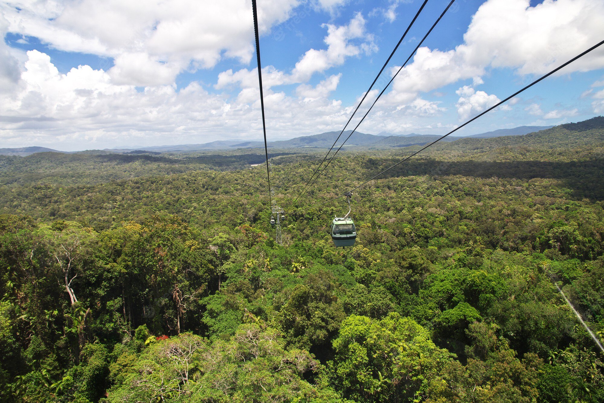 Kuranda Rianforest Wallpapers