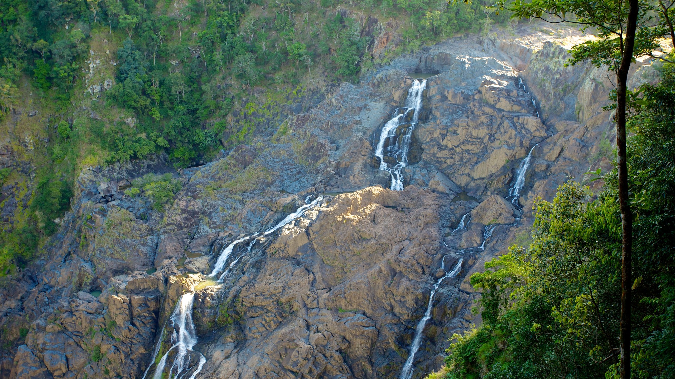 Kuranda Rianforest Wallpapers