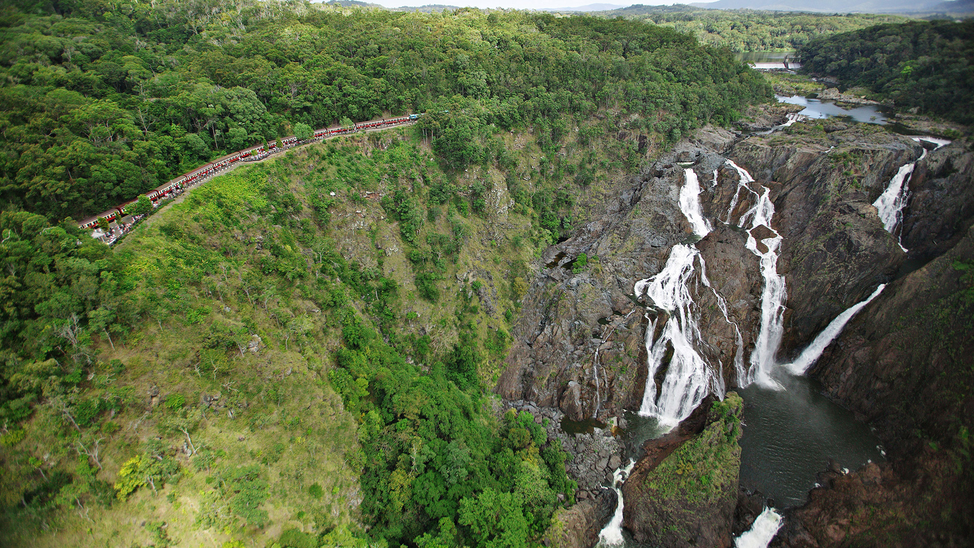 Kuranda Rianforest Wallpapers