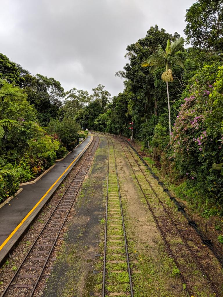 Kuranda Rianforest Wallpapers