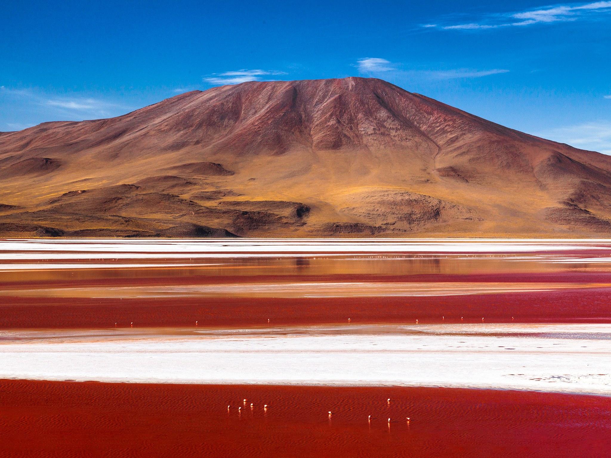 Laguna Colorada Wallpapers