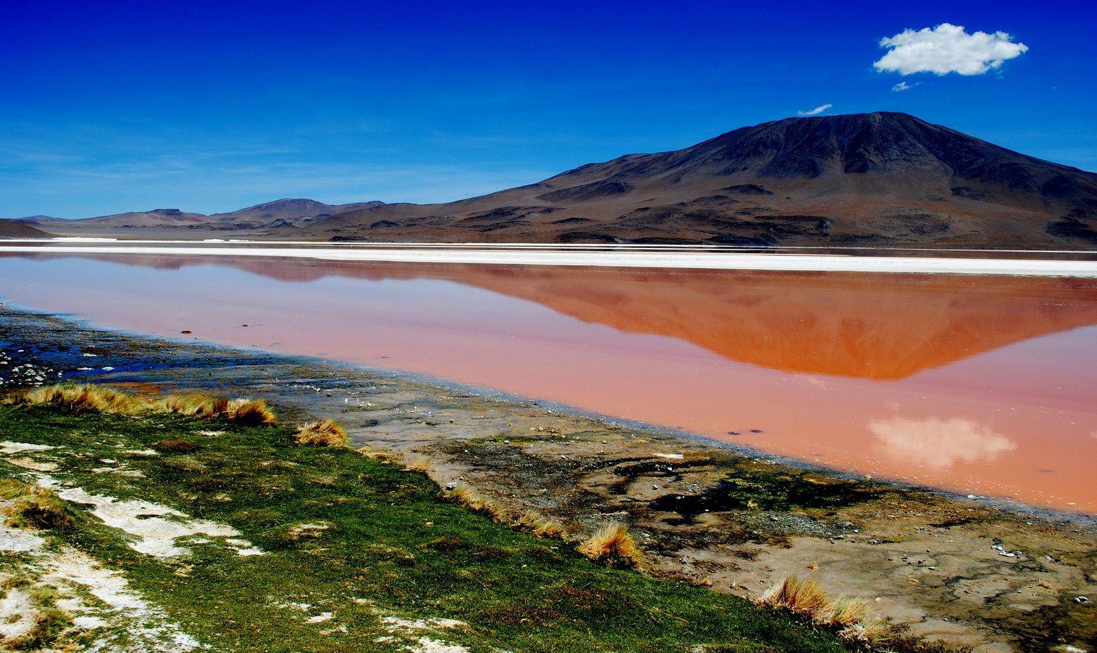 Laguna Colorada Wallpapers