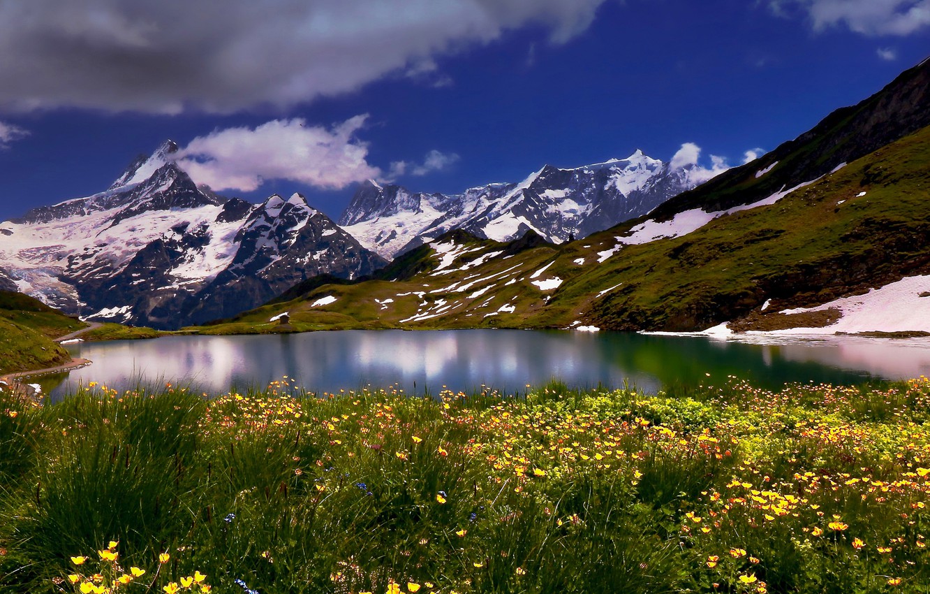 Lake Bachalpsee Wallpapers