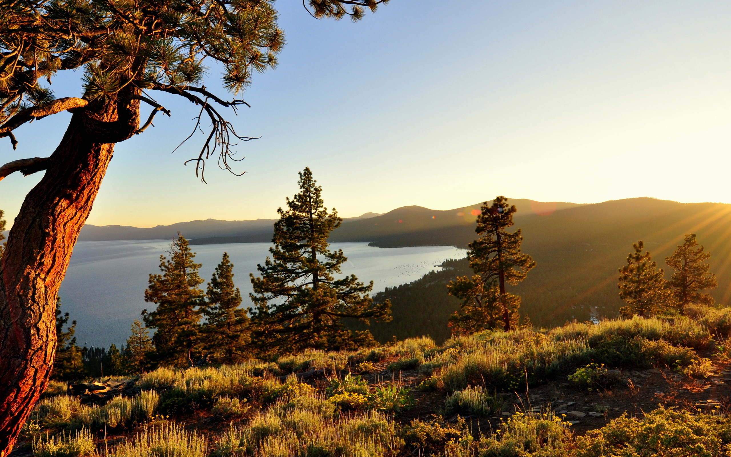 Lake Tahoe Wallpapers