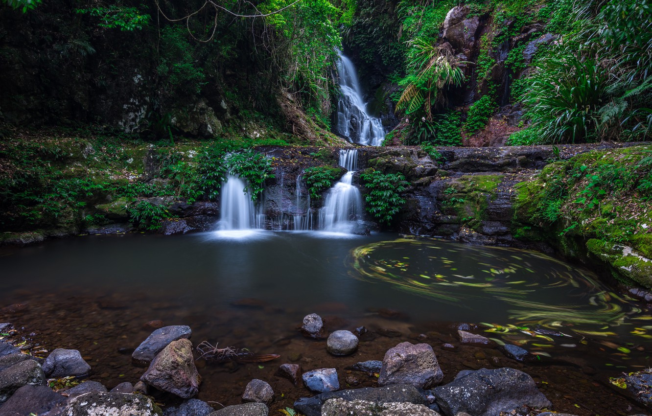 Lamington National Park Wallpapers