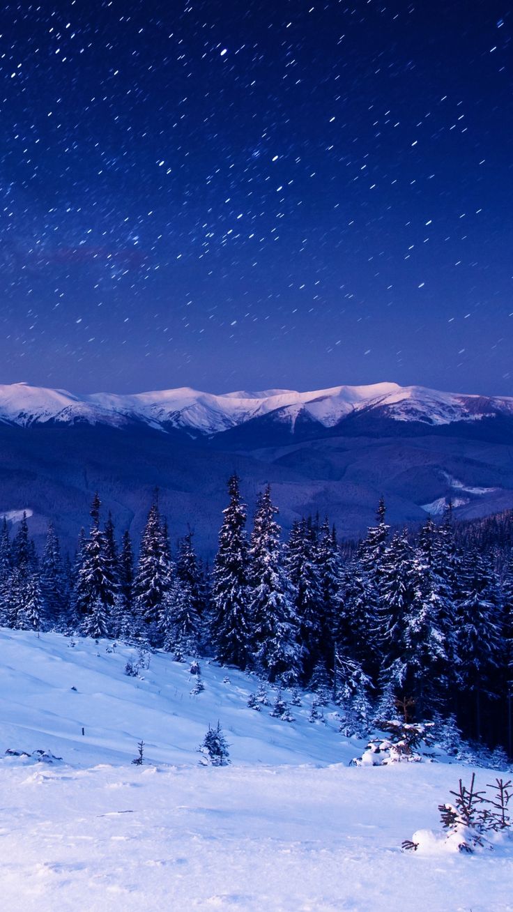 Landscape Forest Mountains In Night Sky Wallpapers