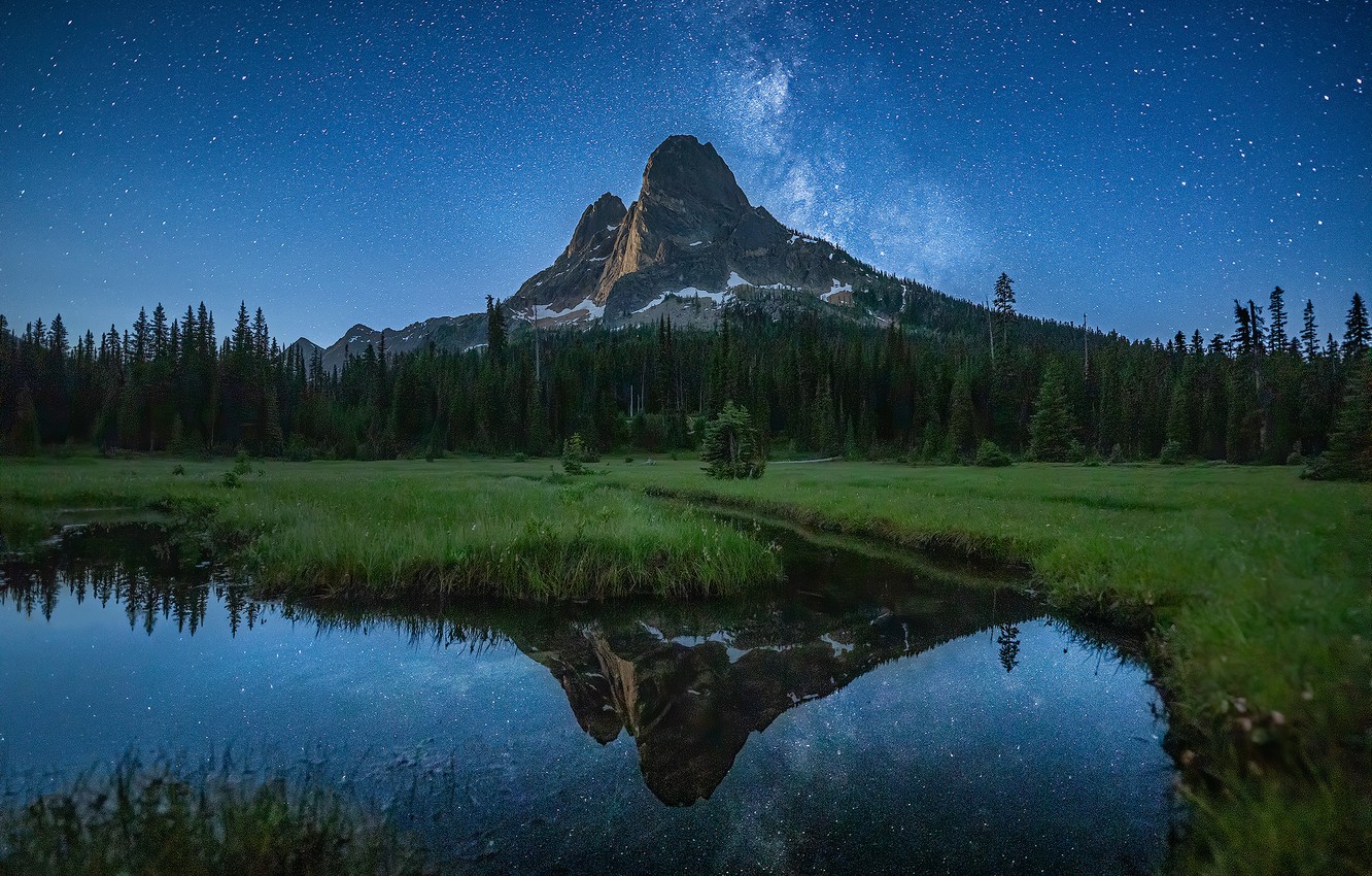 Landscape Forest Mountains In Night Sky Wallpapers