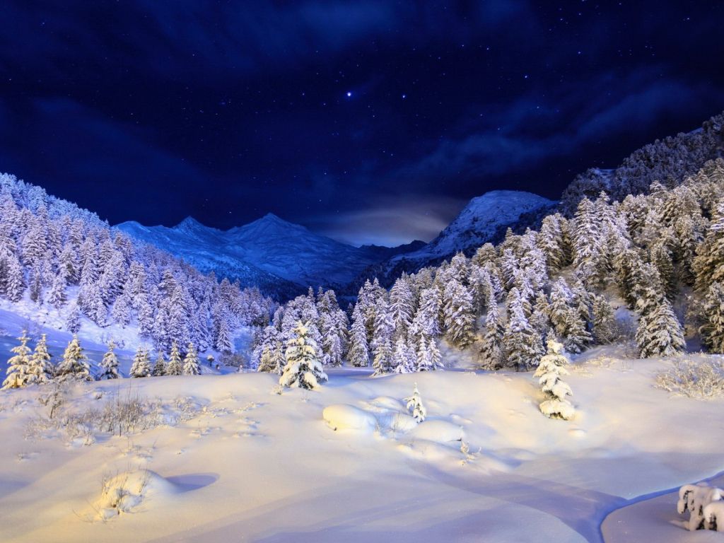 Landscape Forest Mountains In Night Sky Wallpapers