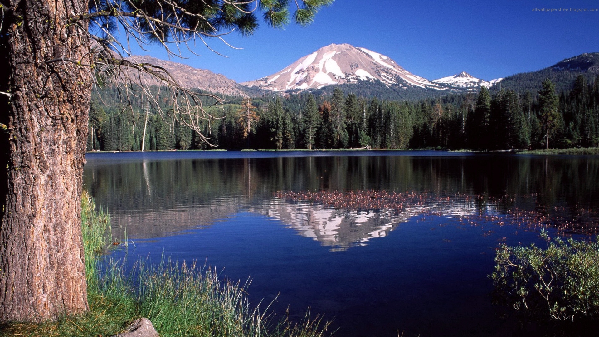 Lassen Volcanic National Park Wallpapers