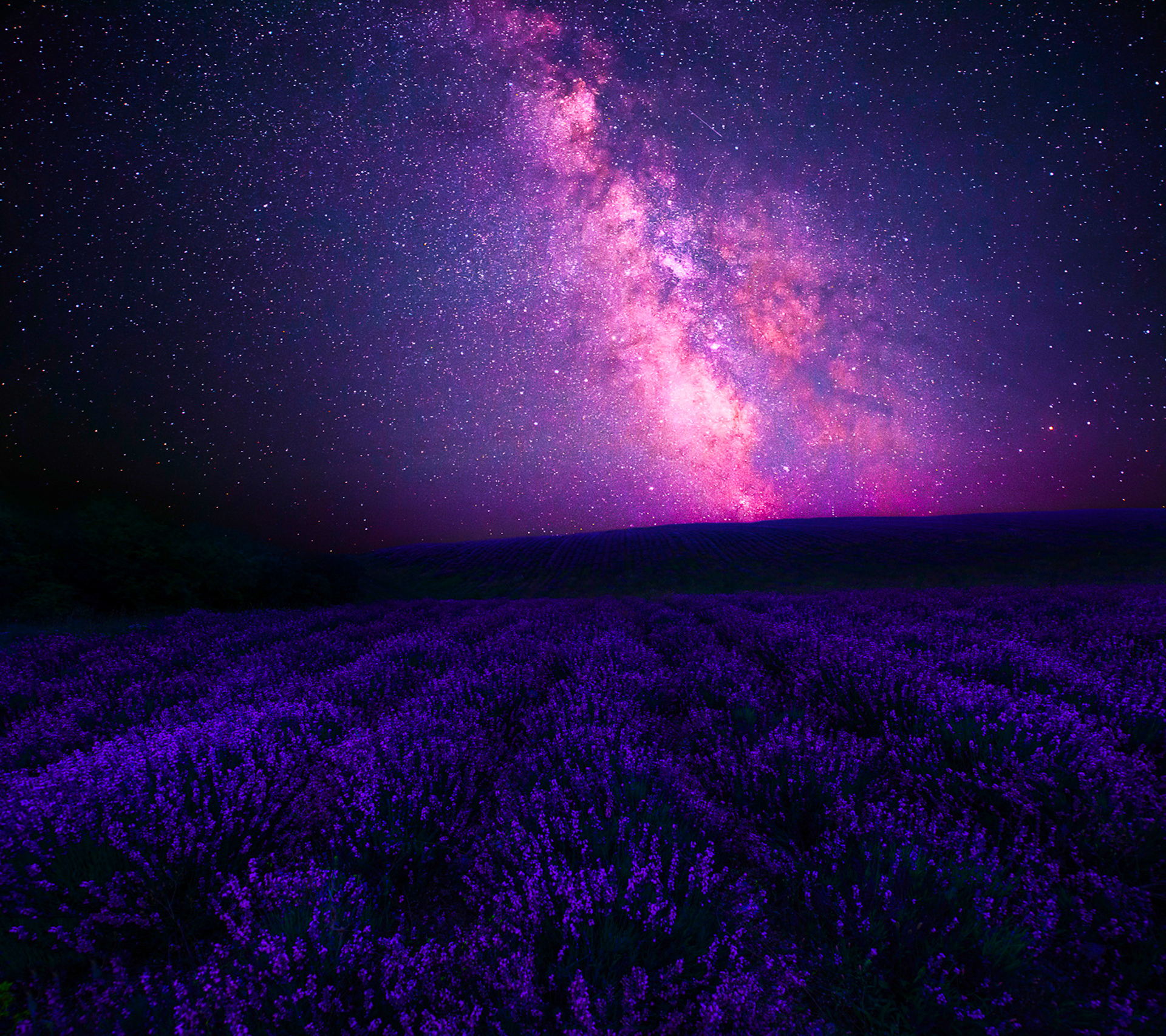 Lavender Field At Night Wallpapers