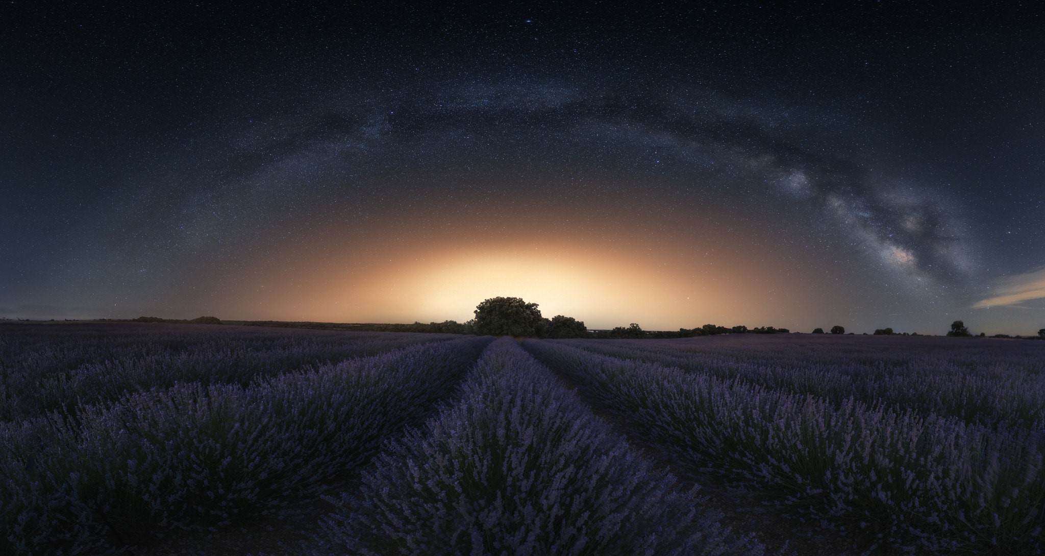 Lavender Field At Night Wallpapers