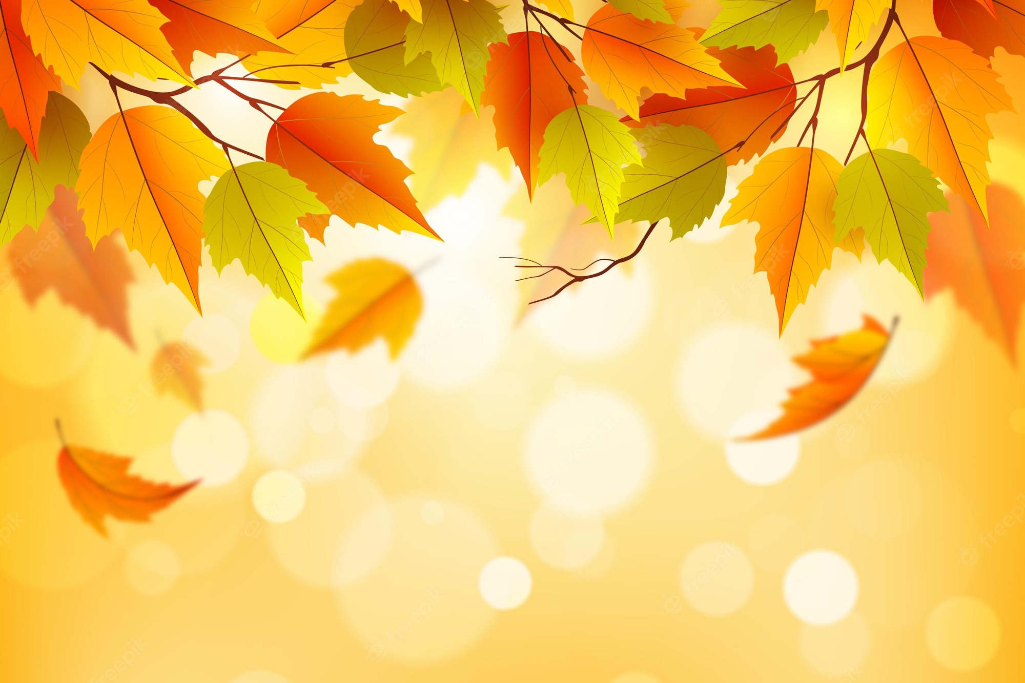 Leaf Autumn Wallpapers