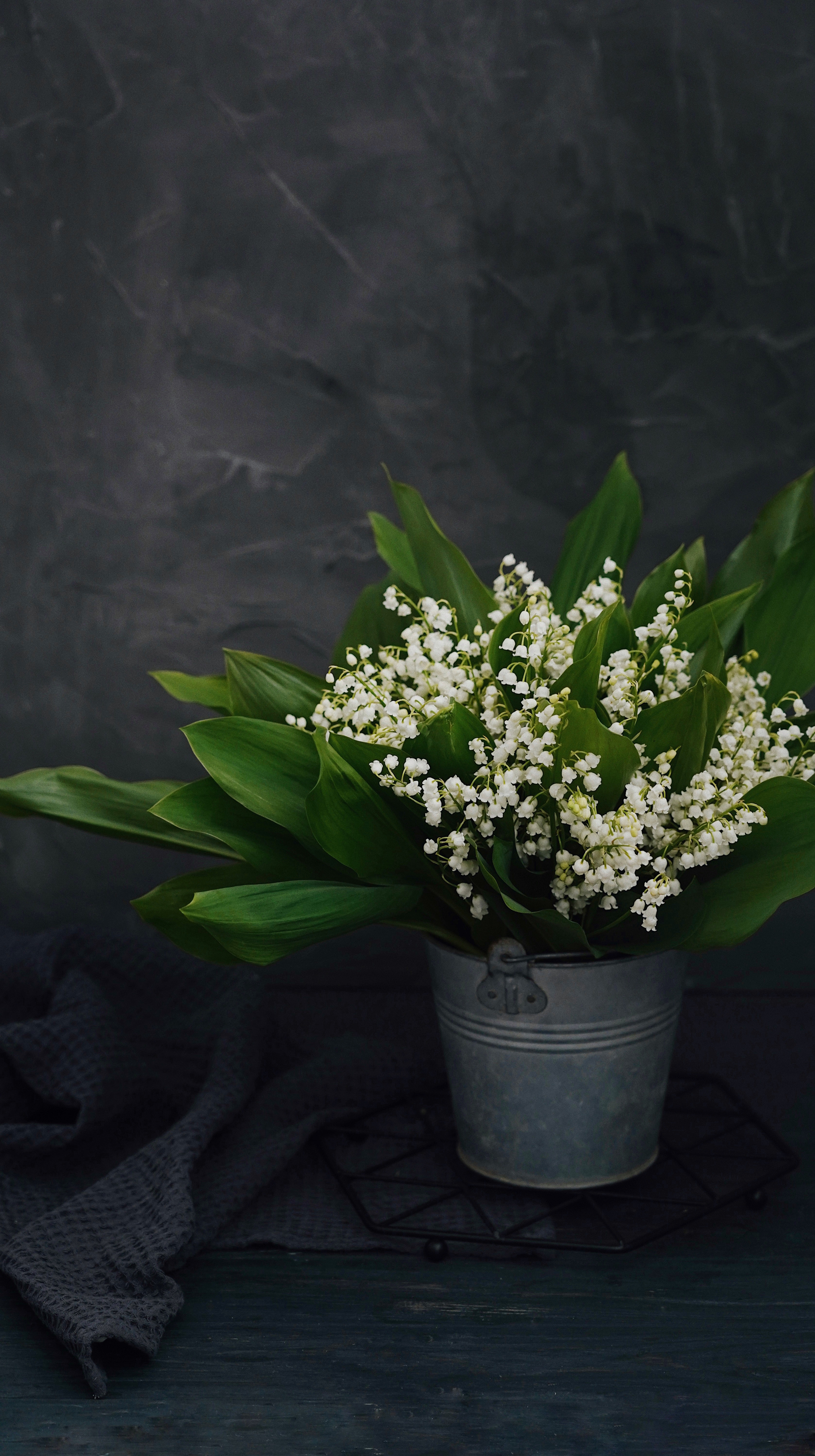 Lily Of The Valley Wallpapers