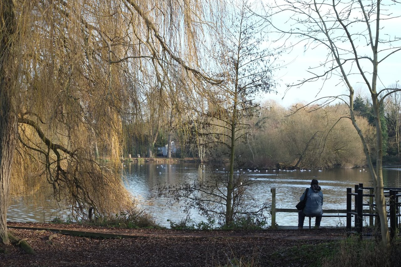 Little Britain Lake Wallpapers