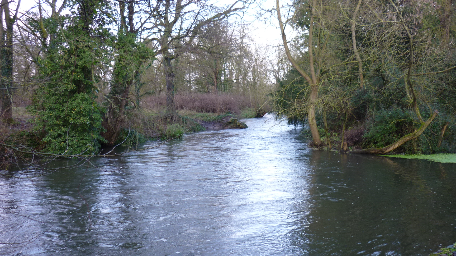 Little Britain Lake Wallpapers