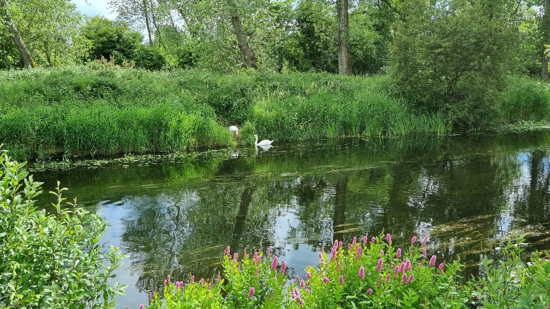 Little Britain Lake Wallpapers