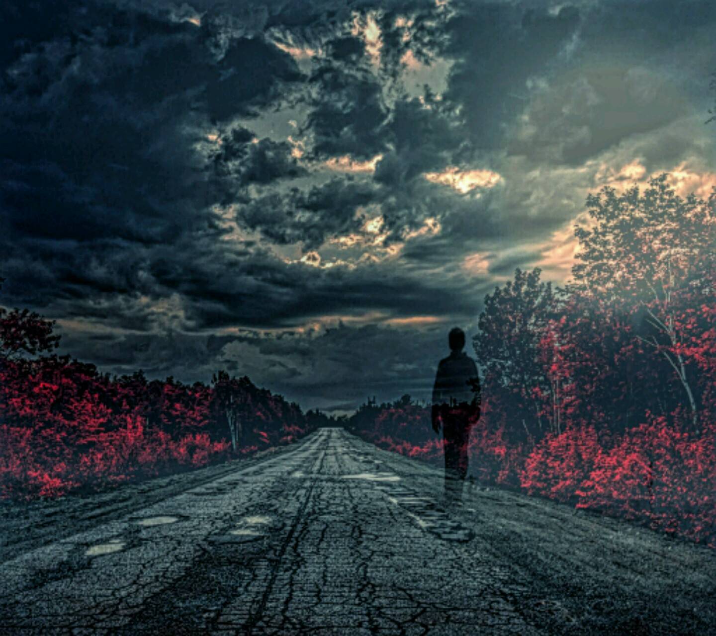 Lonely Road At Night Wallpapers