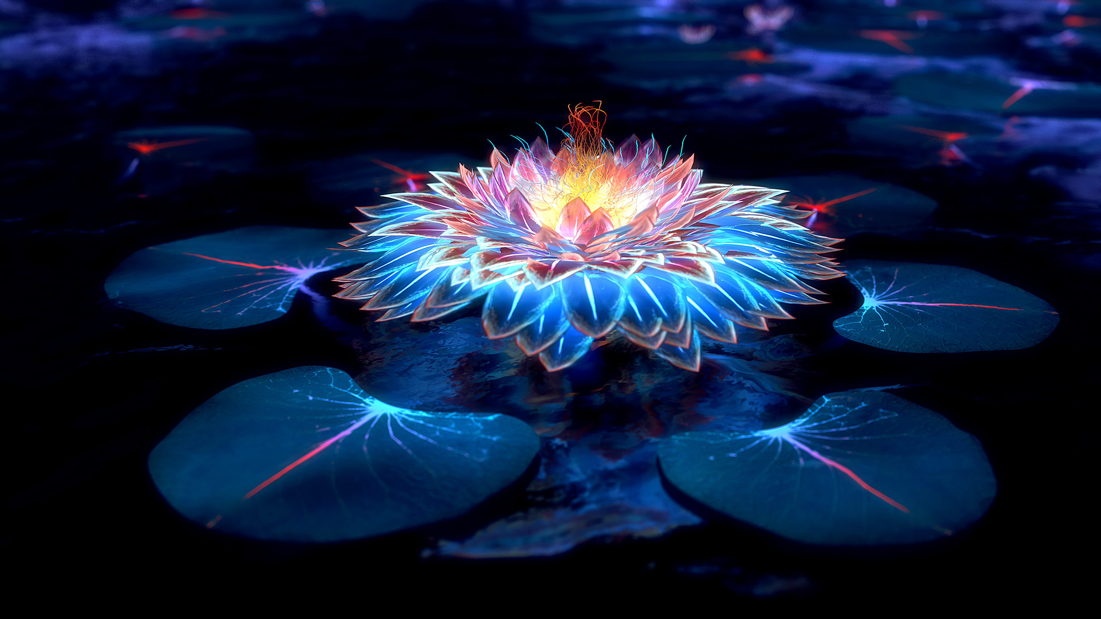 Lotus Wallpapers