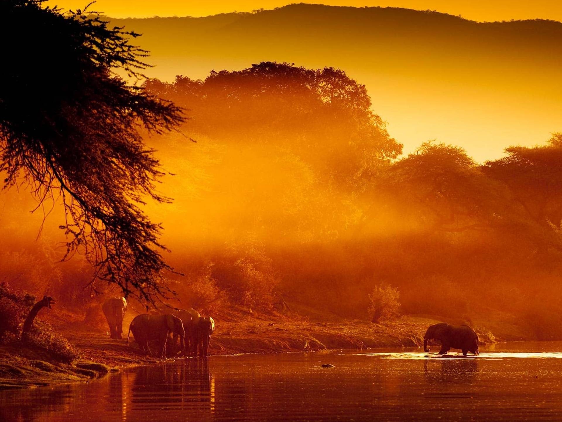 Lower Zambezi National Park Wallpapers