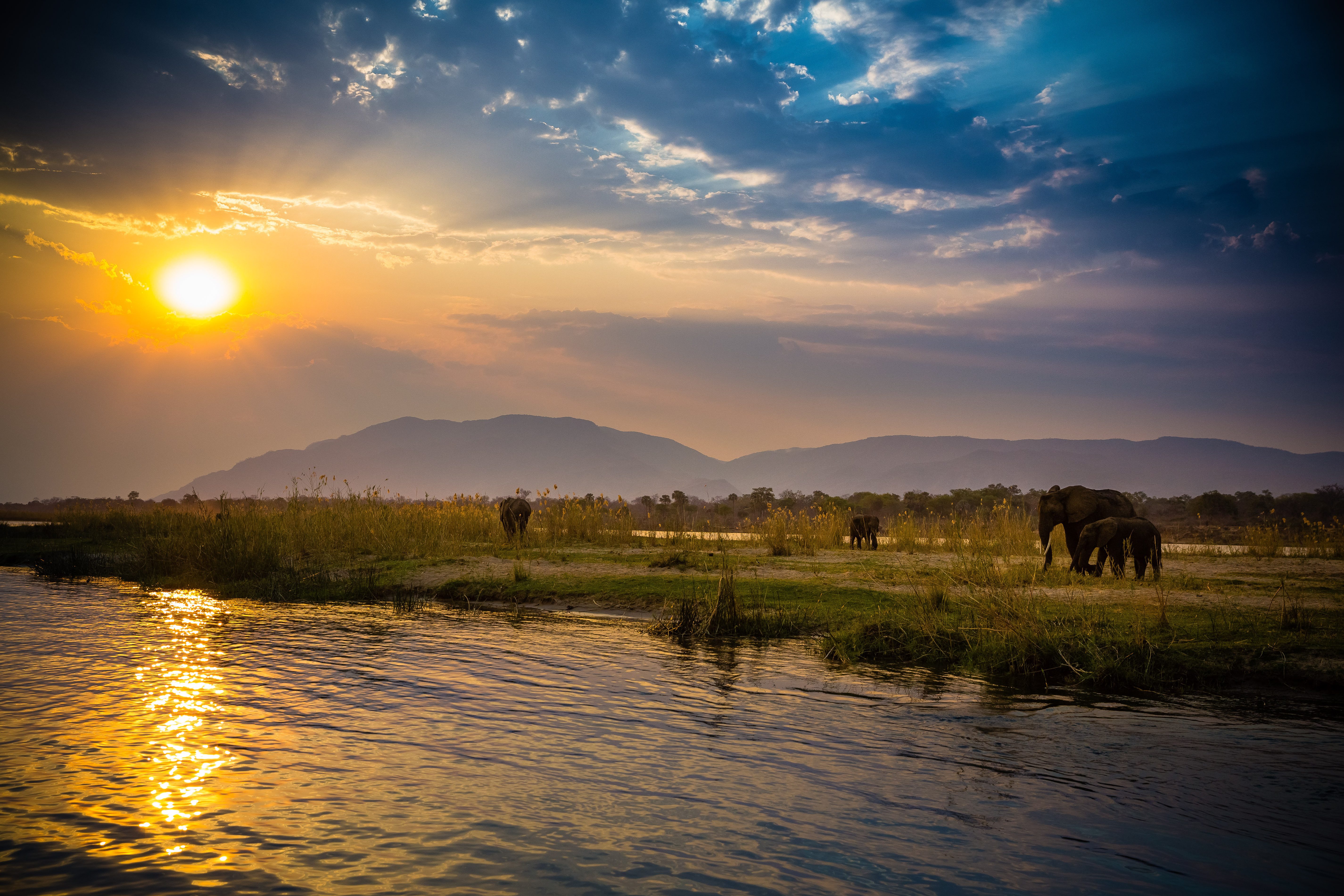 Lower Zambezi National Park Wallpapers