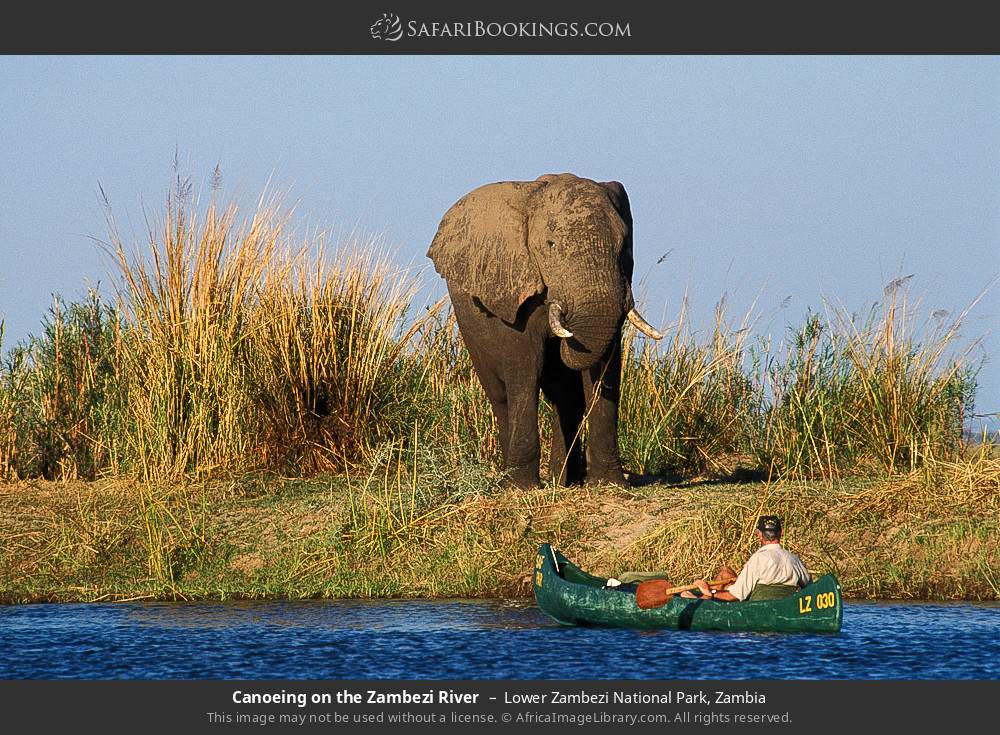 Lower Zambezi National Park Wallpapers