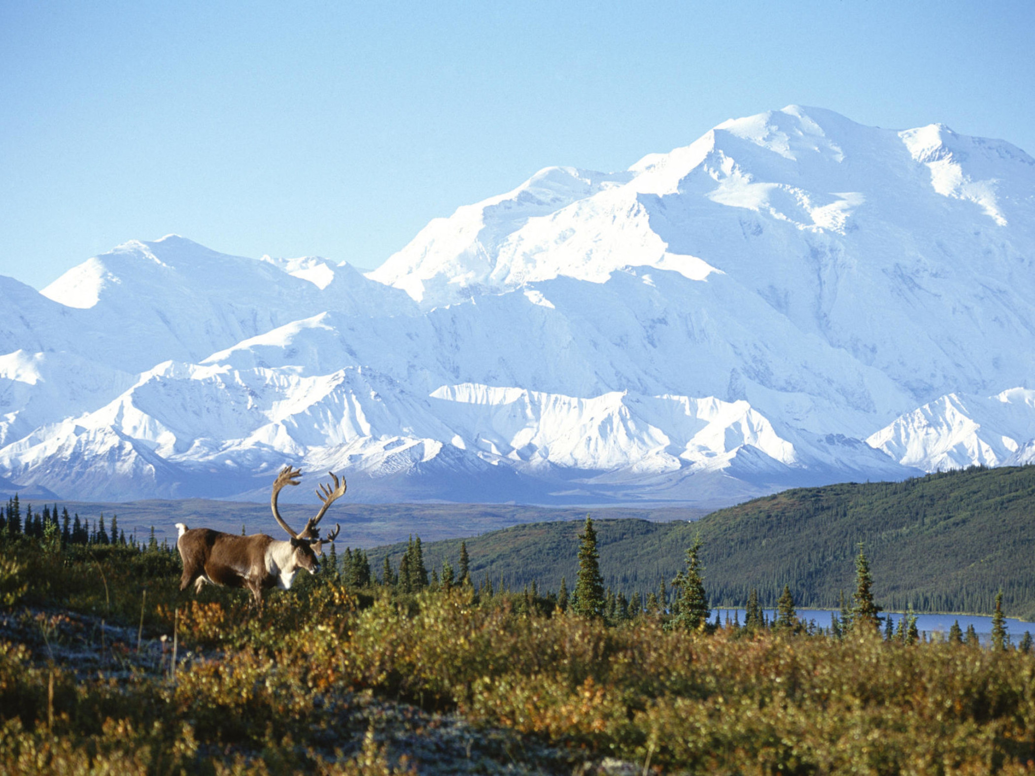 Alaska Mountain Wallpapers