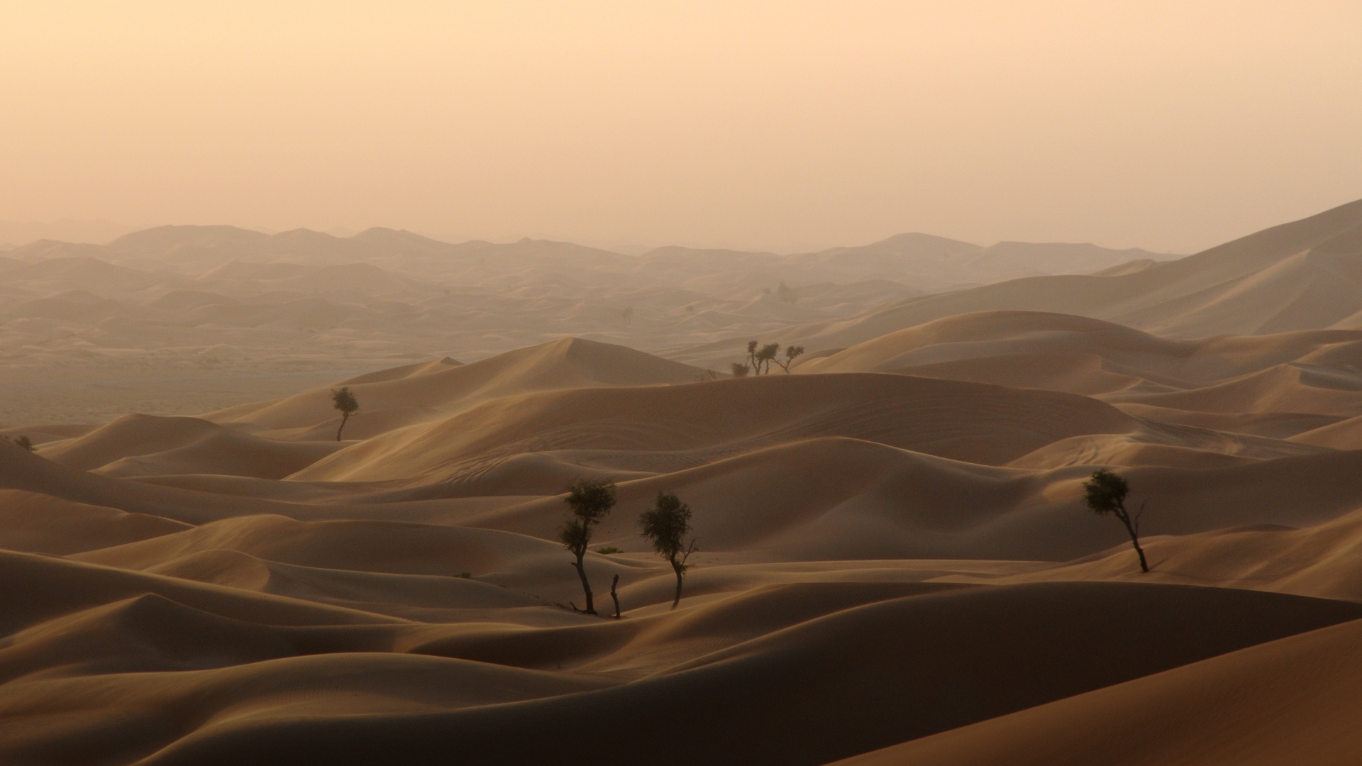 Arabian Desert Night Wallpapers