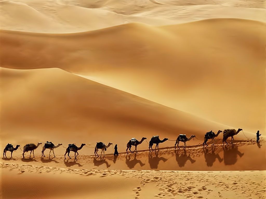 Arabian Desert Night Wallpapers