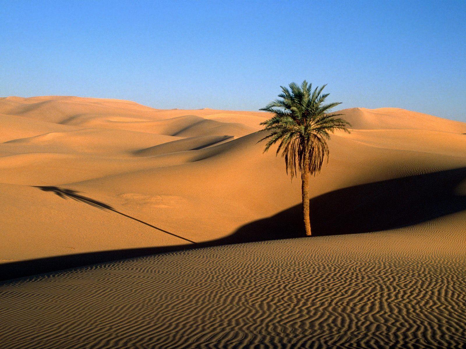 Arabian Desert Night Wallpapers