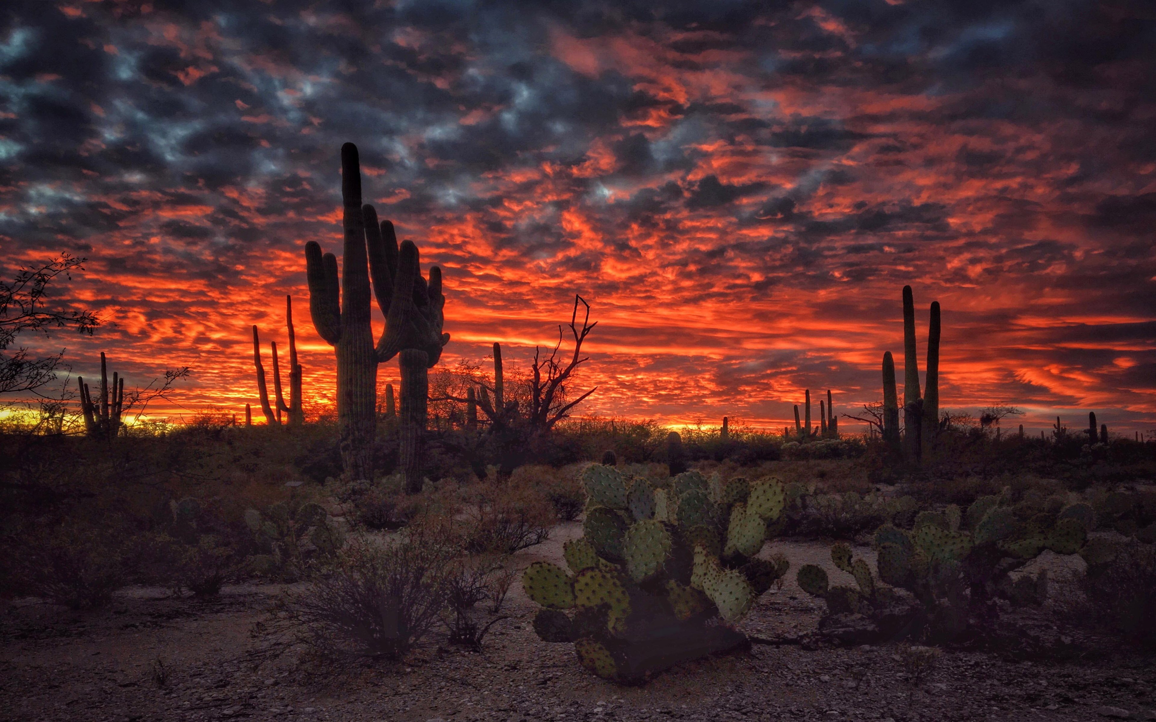 Arizona Desert Wallpapers