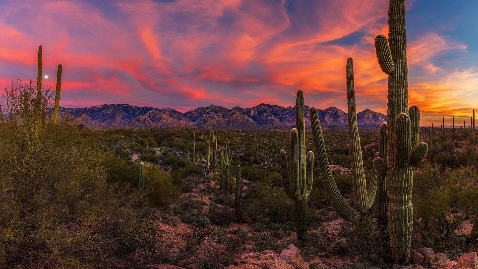 Arizona Desert Wallpapers