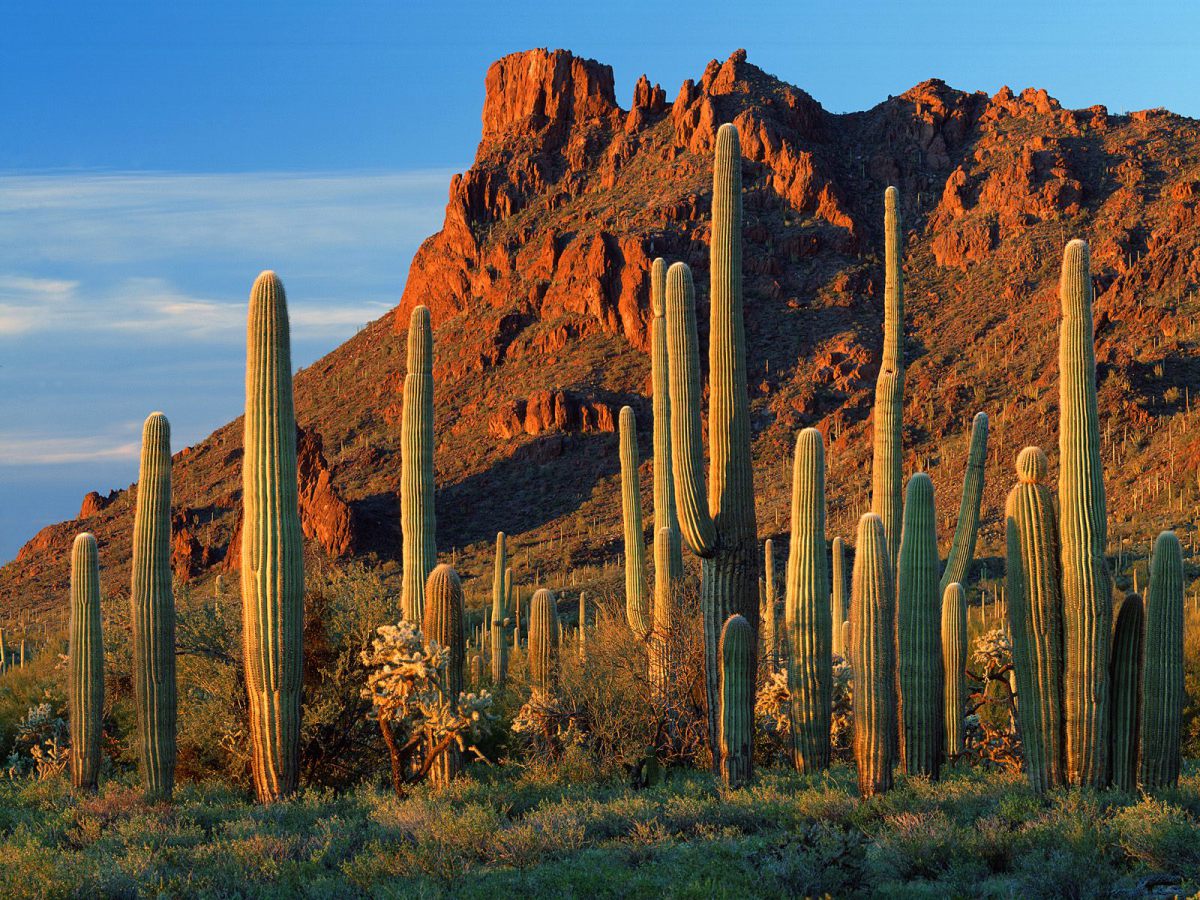 Arizona Desert Wallpapers