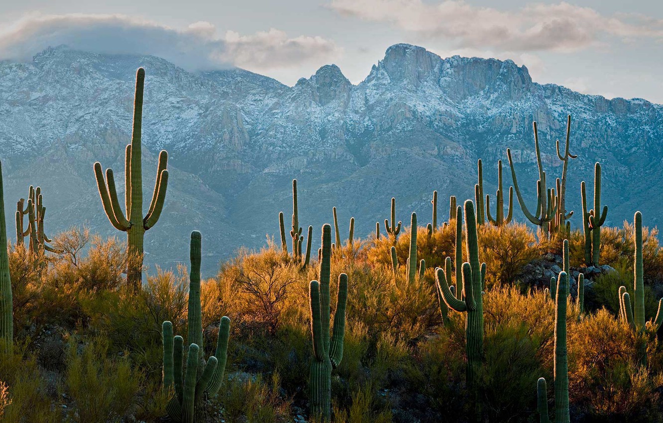 Arizona Desert Wallpapers